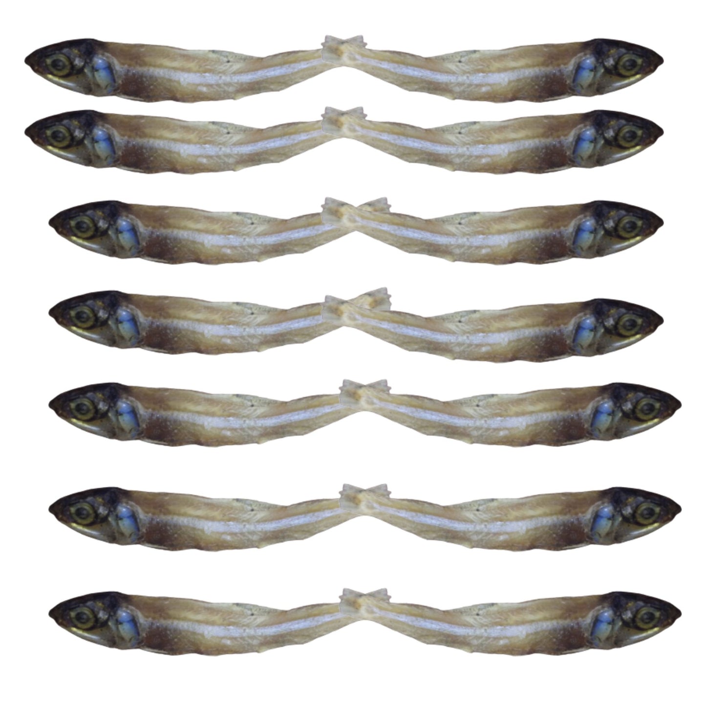Big Size Goa Anchovi / Nethili Dry Fish (பெரிய நெத்திலி கருவாடு) - Faritha