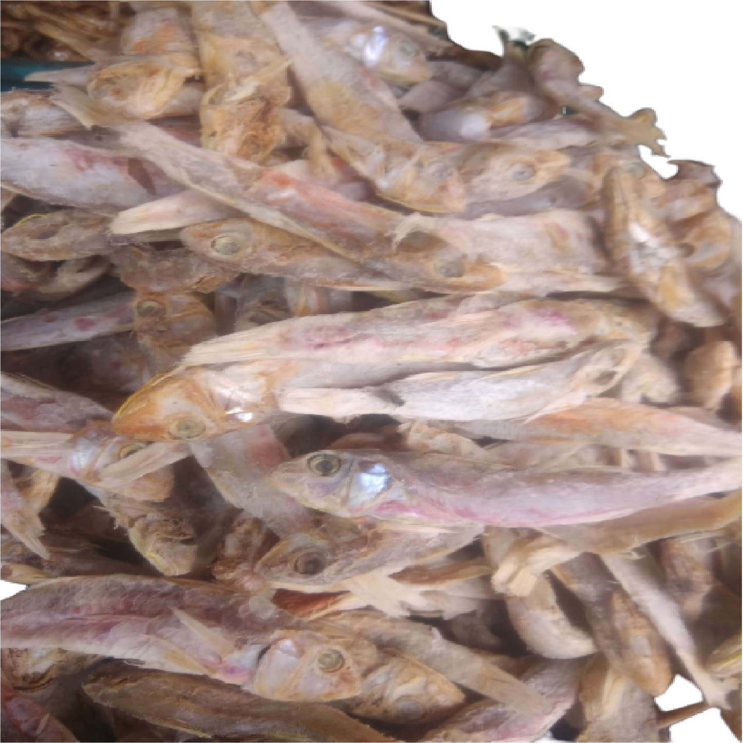 Nagarai Karuvadu - Authentic Tamil Nadu Dry Fish - Sardinella longiceps - Food Grade Packaging