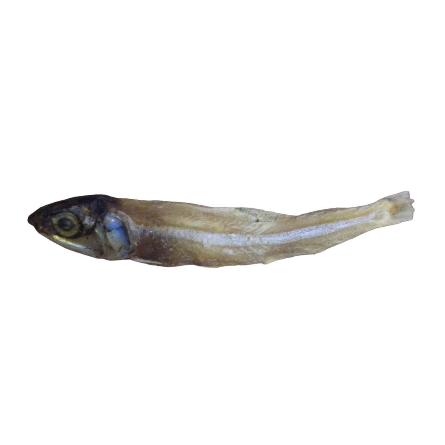 Big Size Goa Anchovi / Nethili Dry Fish (பெரிய நெத்திலி கருவாடு) - Faritha