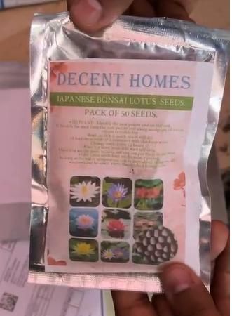 20 Pcs Japanese Bonsai Lotus Seeds – Exotic Aquatic Flower Seeds for Home Garden & Pond – Pack of 1