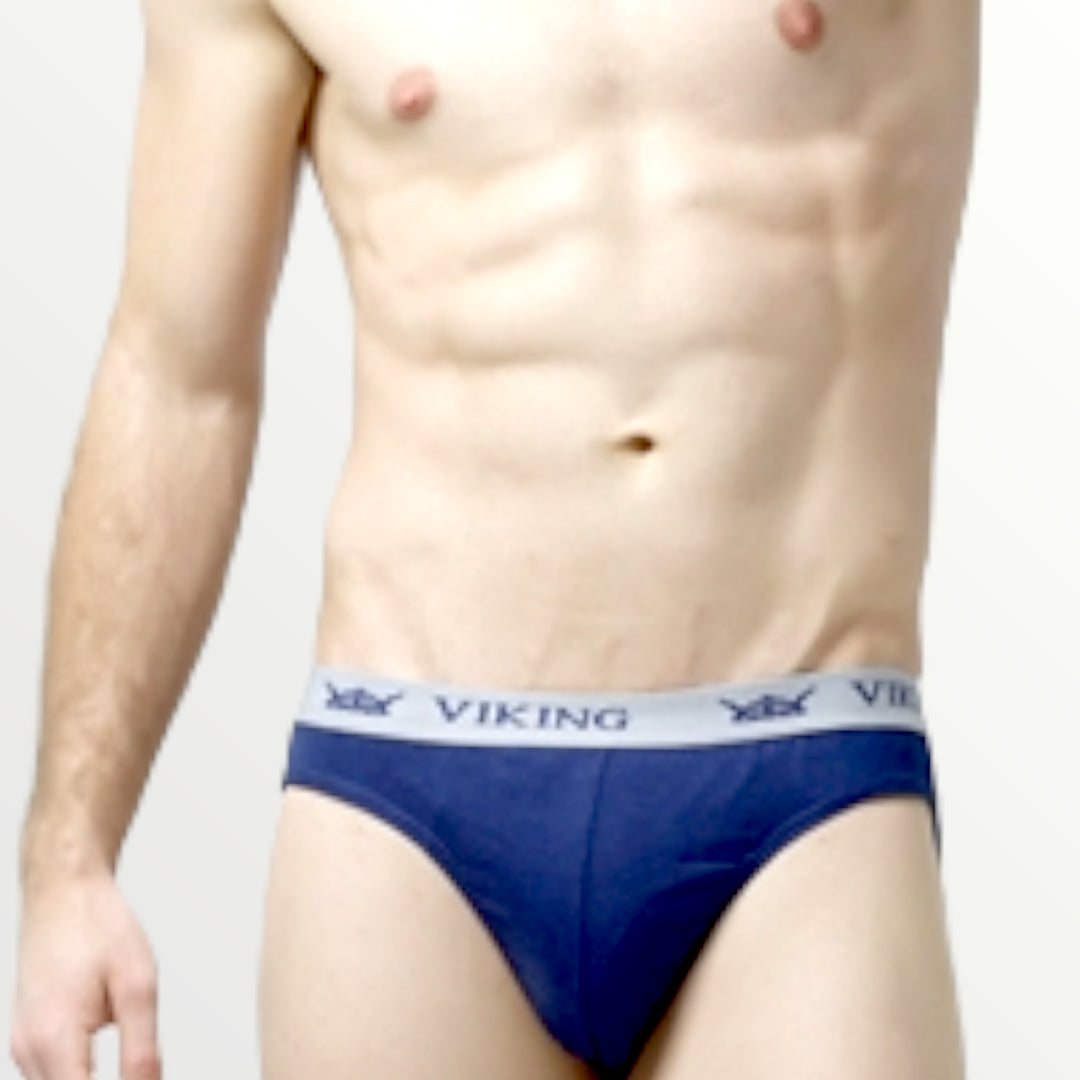 Viking Premier Legend Gents Brief - Faritha