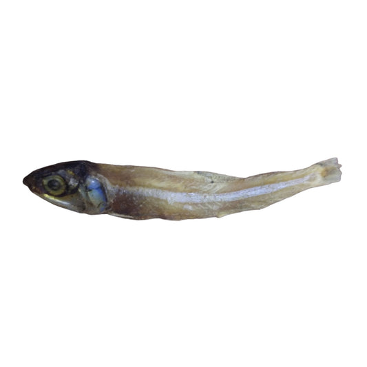 Big Size Goa Anchovi / Nethili Dry Fish  (பெரிய நெத்திலி கருவாடு)